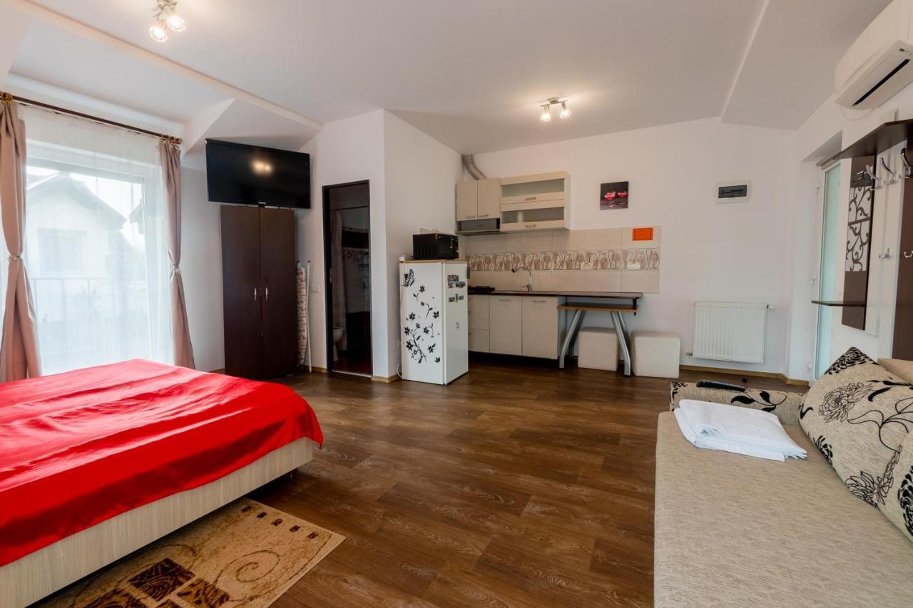 Nice & Cozy Appartement Timişoara